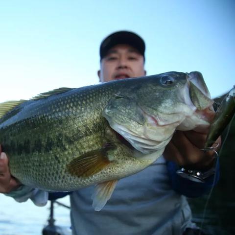 小湾钓场最新动态报道