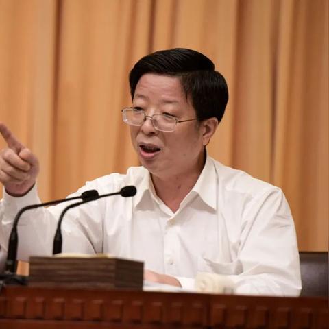 宋向党的最新动态概览