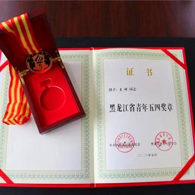 宋向党的最新动态概览