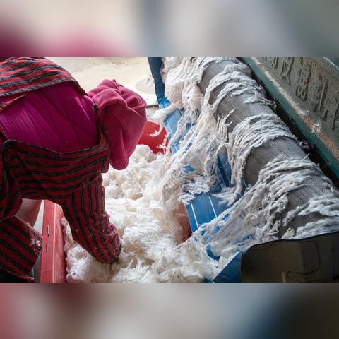 皮棉价格今日最新行情分析