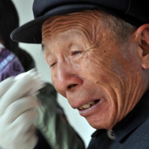 土元价格今日最新行情分析