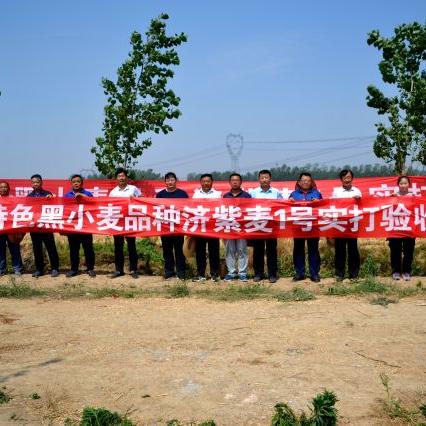 梁山韩岗车祸最新报道,事故深度解析与原因探究