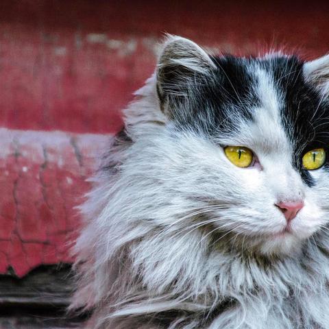 美女睡眠时眼皮翻动现象研究新发现