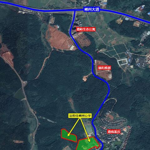 深圳布吉南岭招聘最新动态信息