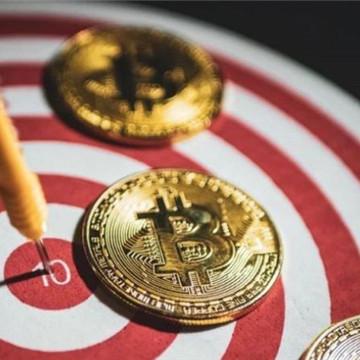 最新资金盘公司全景概览