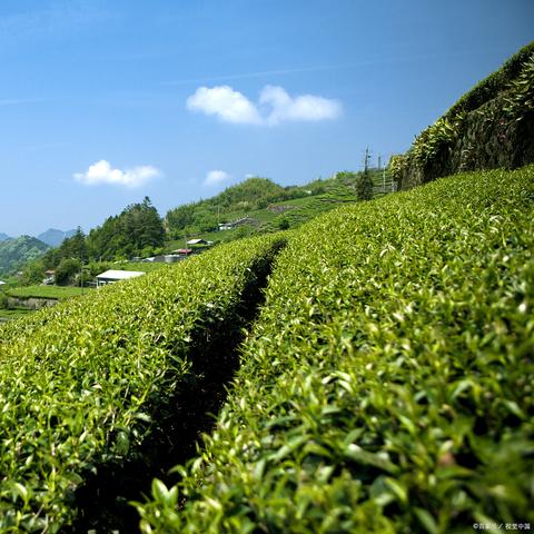 荆门团林房价最新动态分析