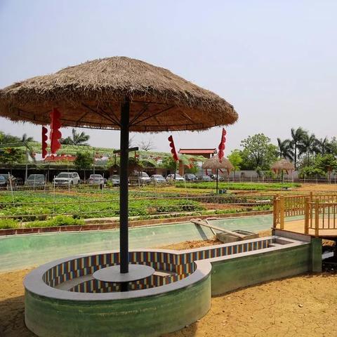 湛江海东新区最新动态