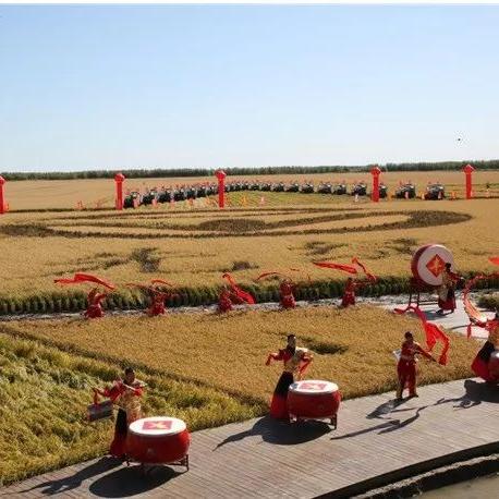 红小豆收割机技术革新及实际应用探讨