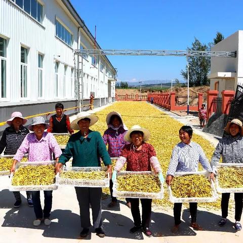 凉山党建网最新公示信息更新通知