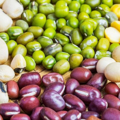 国内大豆价格最新行情分析