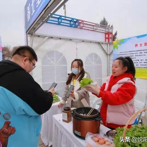 沈阳辽中区最新招聘信息概览