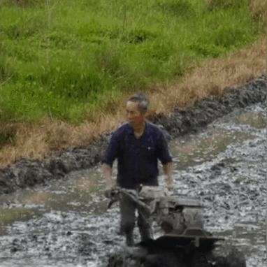 四川渠县最新消息动态