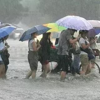 文登司机招聘最新信息速递