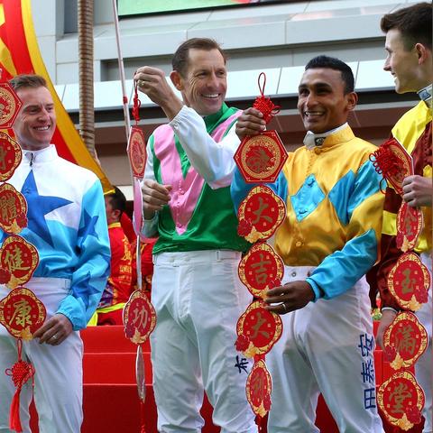 香港赛马最新结果解析与查询