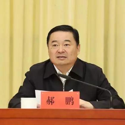 陕西人事任免动态更新至最新情况分析(附至2025年展望)