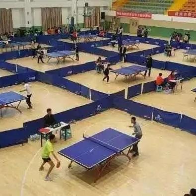 大团结最新目录概览全解析