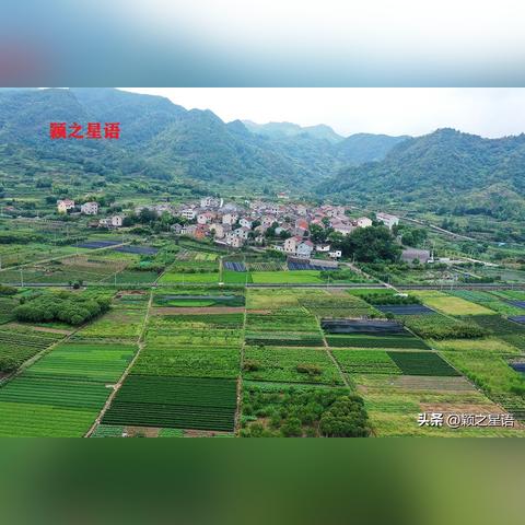 镜岭水库最新动态更新