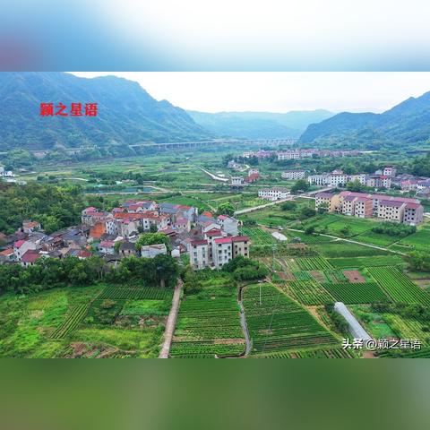 镜岭水库最新动态更新