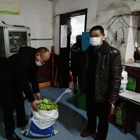 沅陵红网更新动态速递